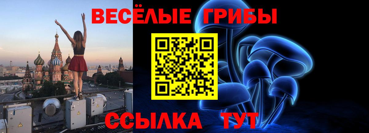 Галлюциногенные грибы Psilocybe  Вход с VPN  Белгород 